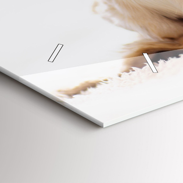 Reloj de cristal horizontal Gato y perro durmiendo