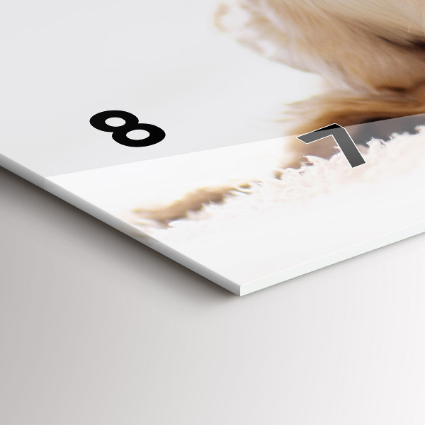 Reloj de cristal horizontal Gato y perro durmiendo