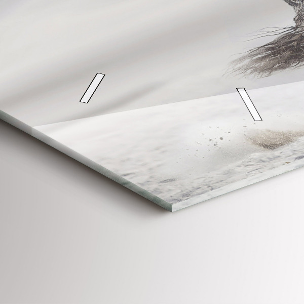 Reloj de cristal horizontal Caballo blanco al galope