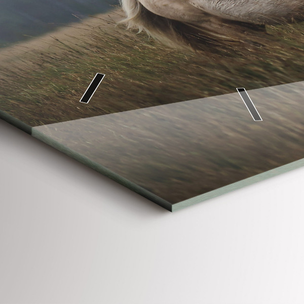 Reloj horizontal Caballos al galope