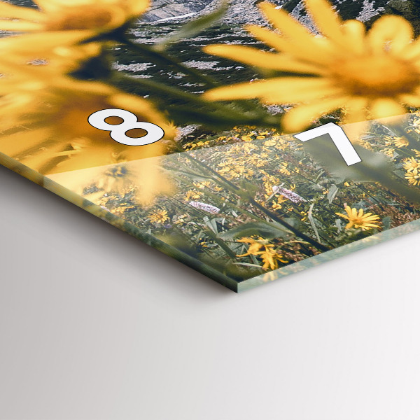 Reloj horizontal Pradera de flores en las montañas