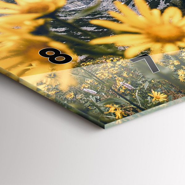 Reloj horizontal Pradera de flores en las montañas