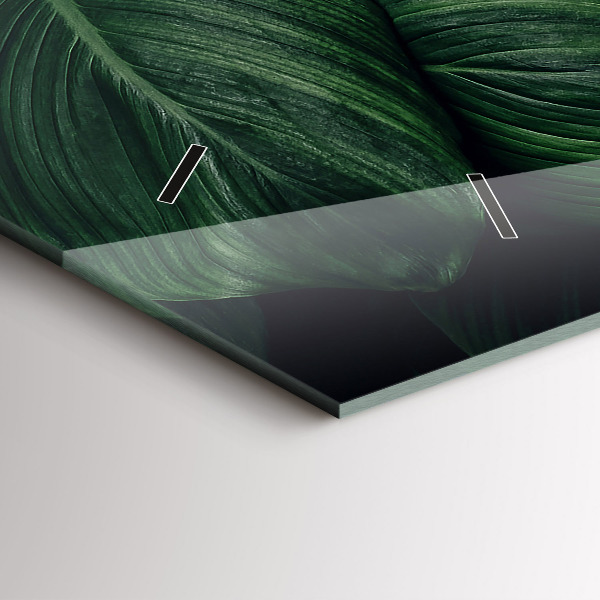 Reloj horizontal Monstera tropical