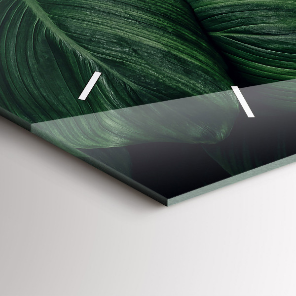 Reloj horizontal Monstera tropical