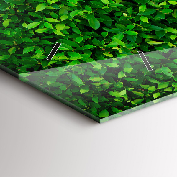 Reloj horizontal Hojas de seto