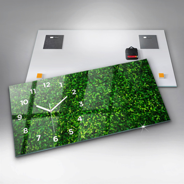 Reloj horizontal Hojas de seto