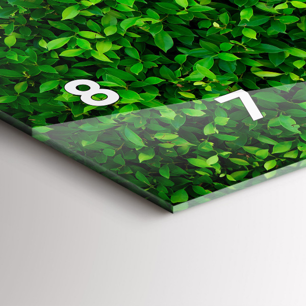 Reloj horizontal Hojas de seto