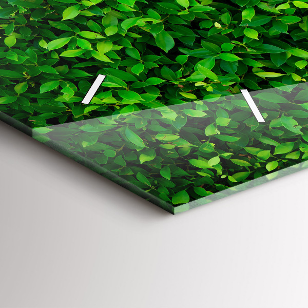 Reloj horizontal Hojas de seto