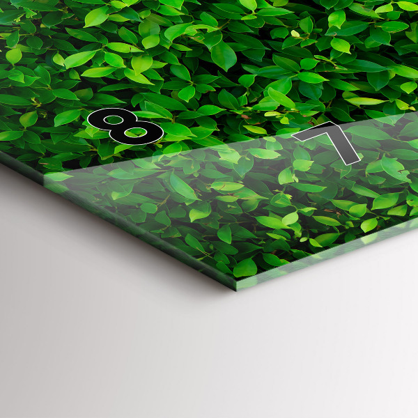 Reloj horizontal Hojas de seto