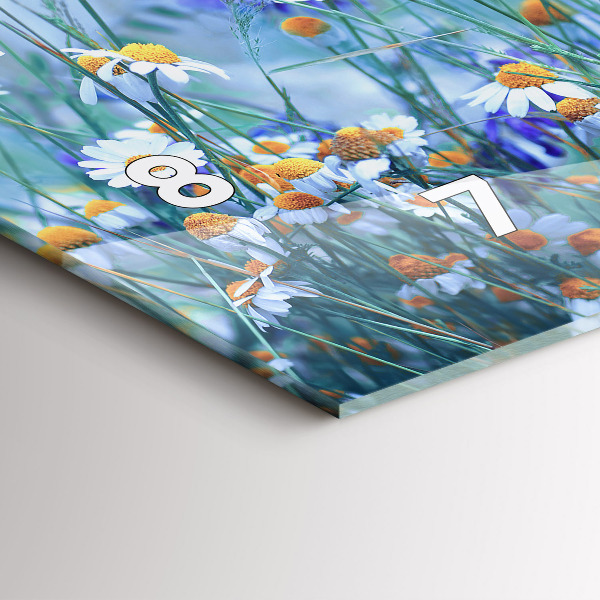 Reloj de cristal horizontal Mariposa en un prado