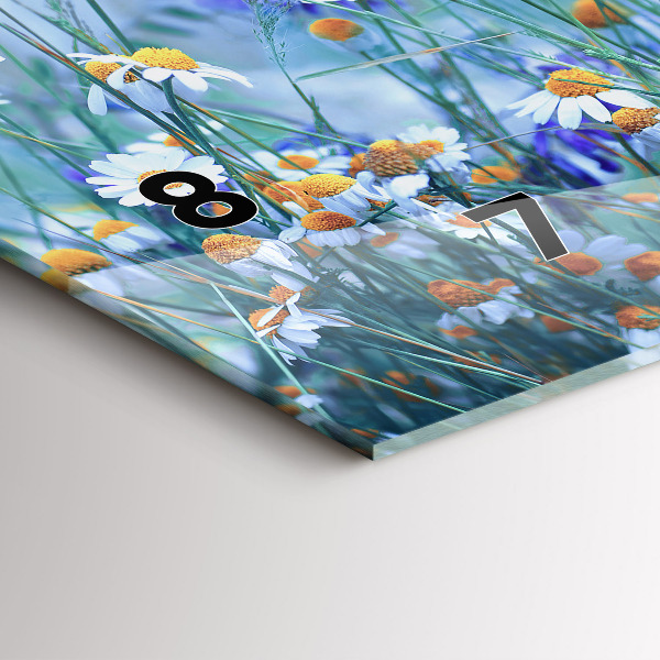 Reloj de cristal horizontal Mariposa en un prado