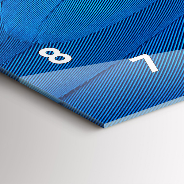 Reloj de cristal horizontal Pluma de ave