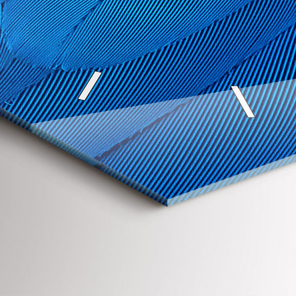 Reloj de cristal horizontal Pluma de ave