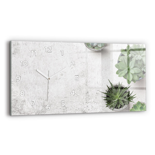 Reloj de cristal horizontal Plantas decorativas