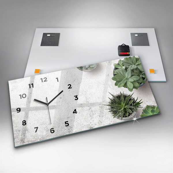 Reloj de cristal horizontal Plantas decorativas