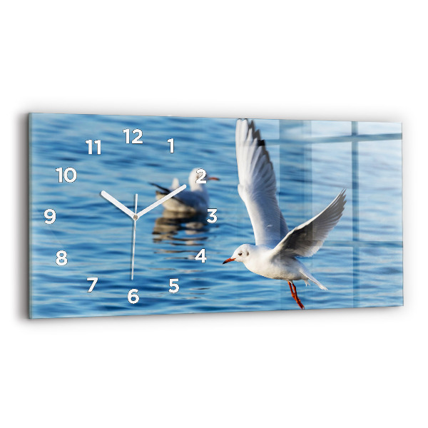 Reloj horizontal Gaviotas en Gdynia