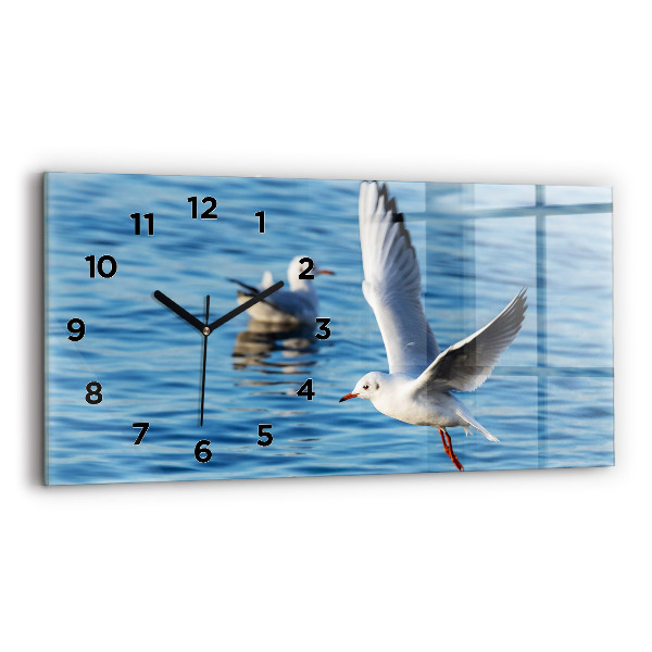 Reloj horizontal Gaviotas en Gdynia