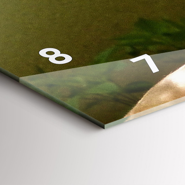 Reloj horizontal Retrato de un león