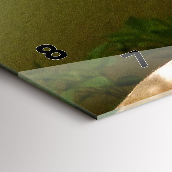 Reloj horizontal Retrato de un león