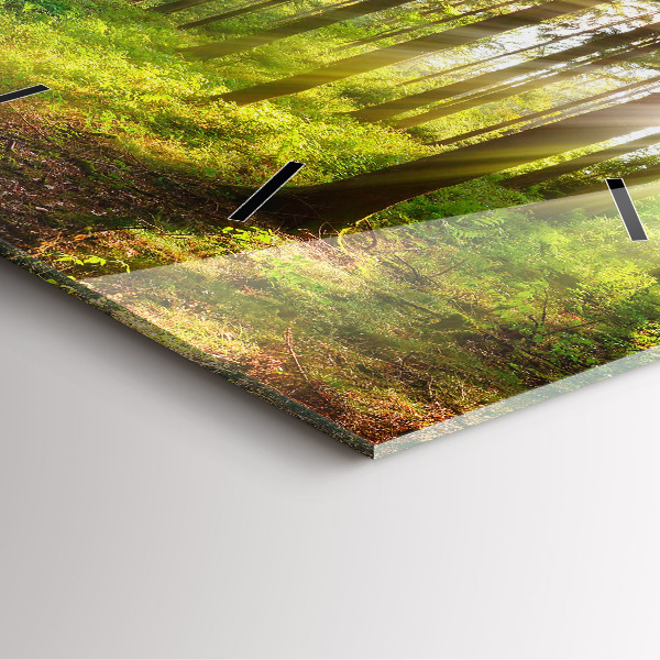 Reloj cuadrado Amanecer en el bosque