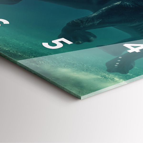 Reloj cuadrado Elefante flotante en el océano