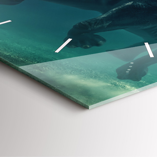 Reloj cuadrado Elefante flotante en el océano