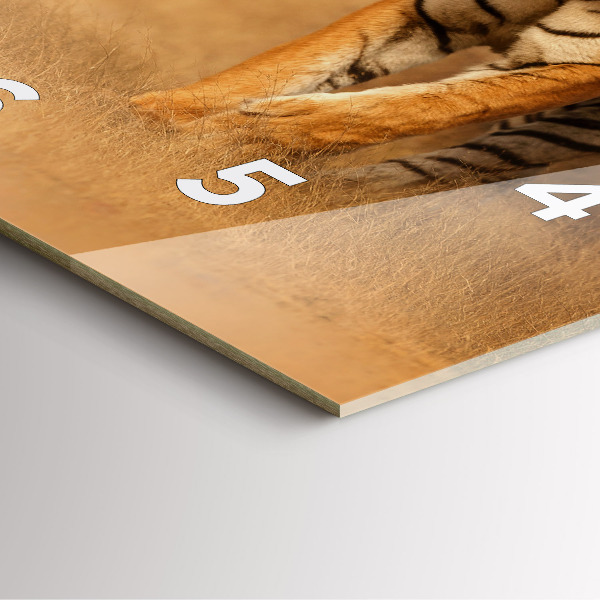 Reloj cuadrado Tigre de caza