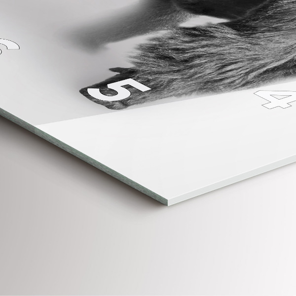 Reloj cuadrado Colección de arte animal