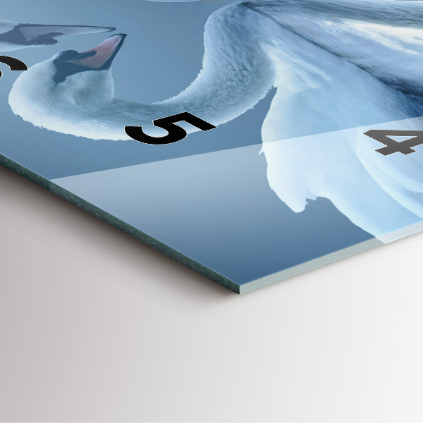 Reloj cuadrado Cisnes en el corazón