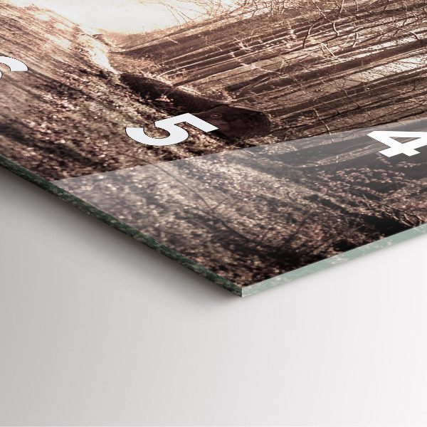 Reloj cuadrado Camino forestal en sepia