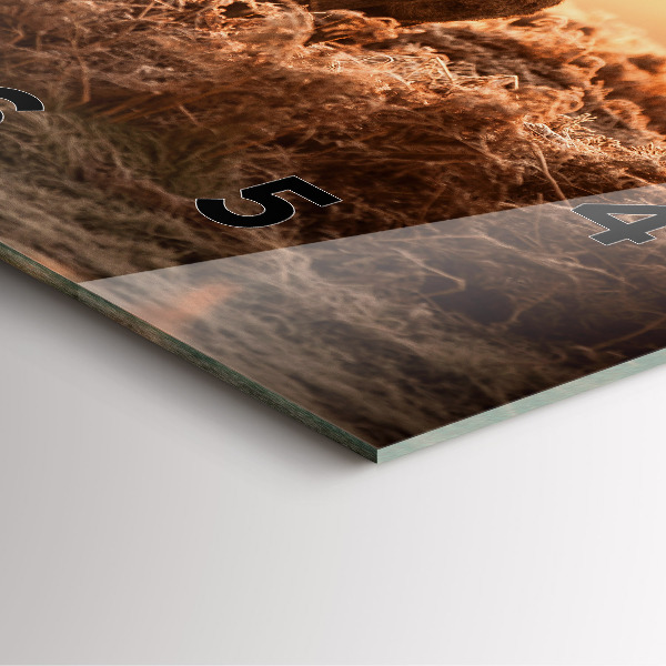 Reloj cuadrado Ciervo al amanecer