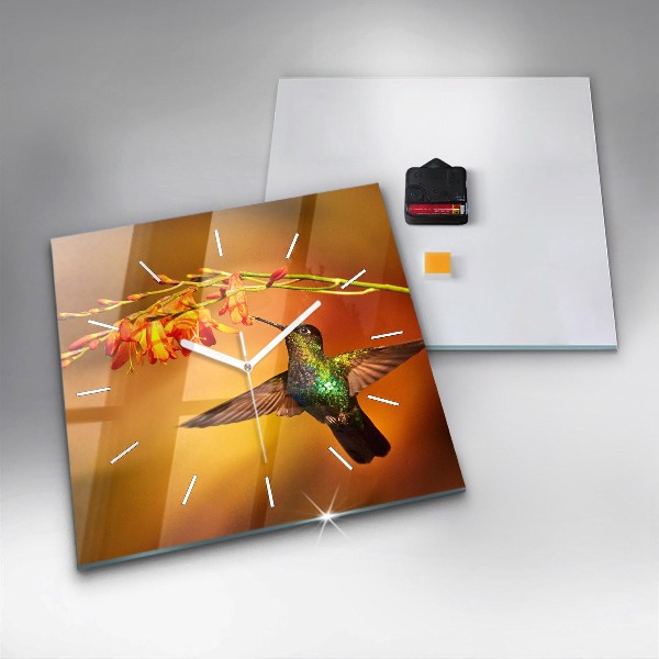 Reloj de pared cuadrado Pájaro colibrí