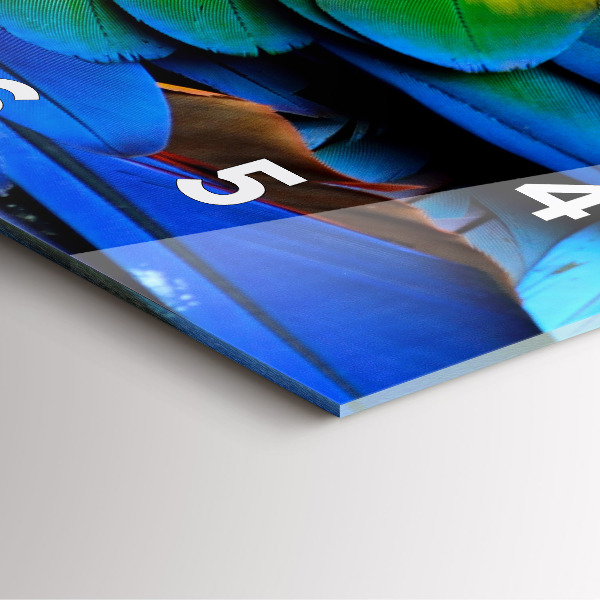 Reloj de pared cuadrado Pájaro Ara Alas de colores