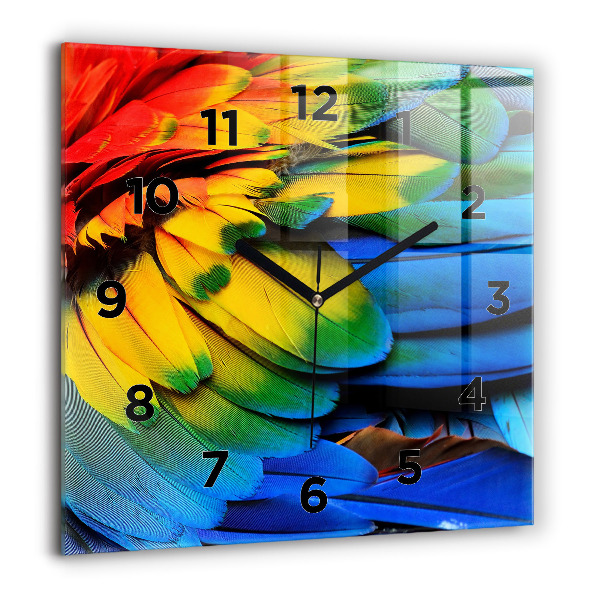Reloj de pared cuadrado Pájaro Ara Alas de colores
