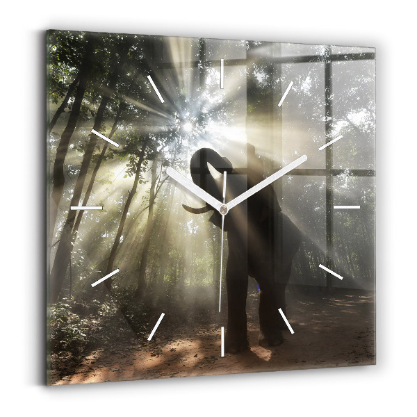 Reloj de pared cuadrado Elefante en la jungla