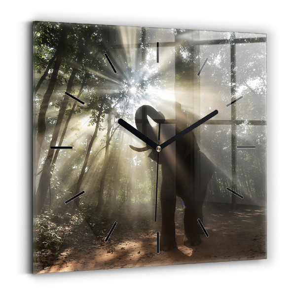 Reloj de pared cuadrado Elefante en la jungla