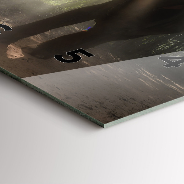 Reloj de pared cuadrado Elefante en la jungla