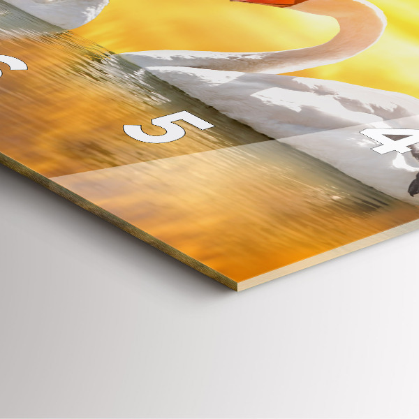 Reloj de pared cuadrado Cisnes enamorados