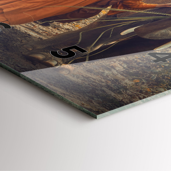 Reloj cuadrado Monje guiando elefantes