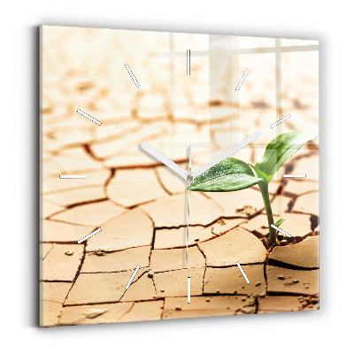 Reloj cuadrado Planta en tierra seca