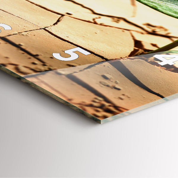 Reloj cuadrado Planta en tierra seca