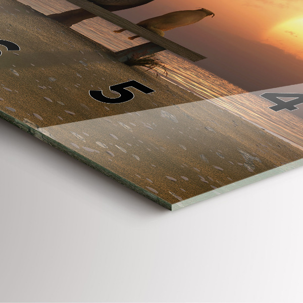 Reloj cuadrado Animales Puesta de sol