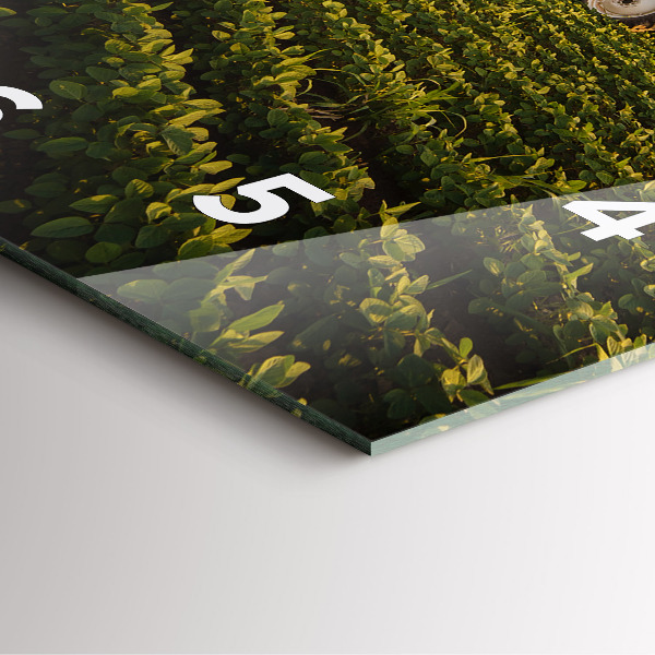 Reloj cuadrado Tractor fumigando un campo