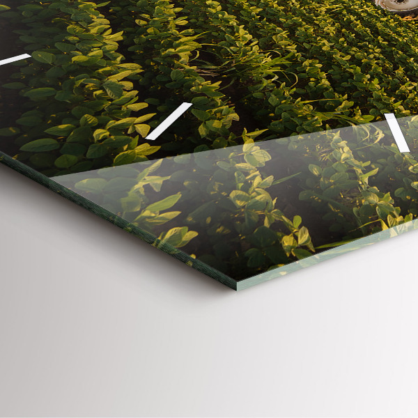 Reloj cuadrado Tractor fumigando un campo