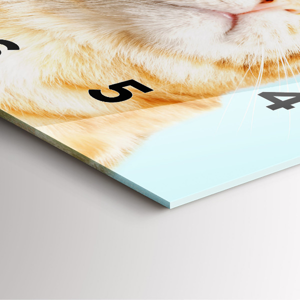 Reloj de pared cuadrado Divertido gato con gafas