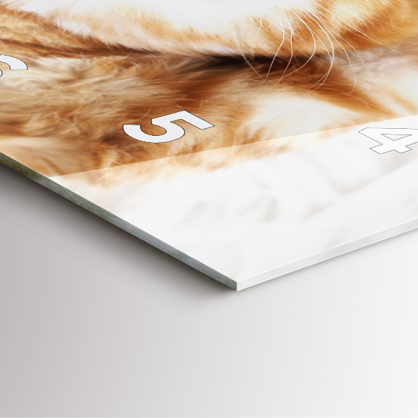 Reloj de pared cuadrado Gatito durmiendo