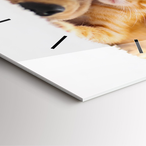 Reloj cuadrado Gato y perro durmiendo