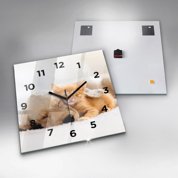 Reloj cuadrado Gato y perro durmiendo