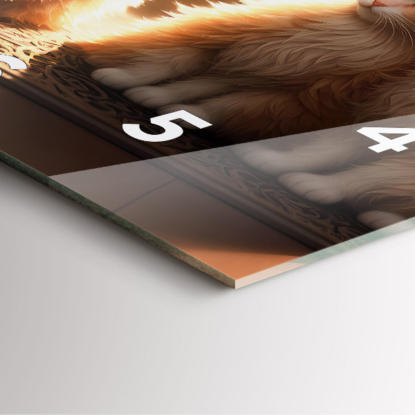 Reloj cuadrado Cuatro gatos al sol