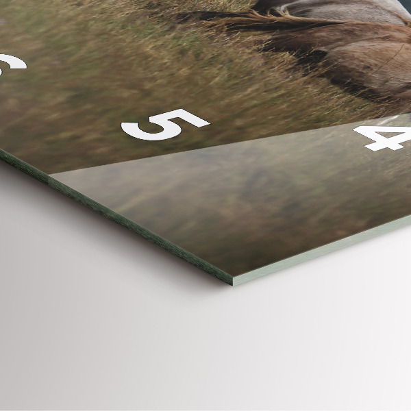 Reloj cuadrado Caballos al galope